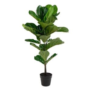 Fiddle Leaf Tree - Metall, Polyester Fiddle Leaf Tree - Metall, Polyester